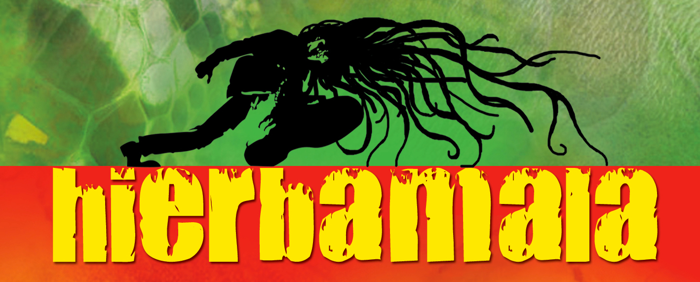 Copertina-CD-Magia-Hierbamala